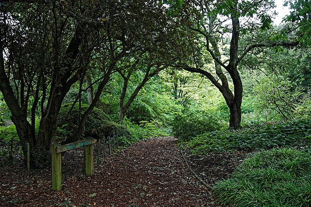 Walking trail surrounded by trees in Highdown Gardens, Worthing