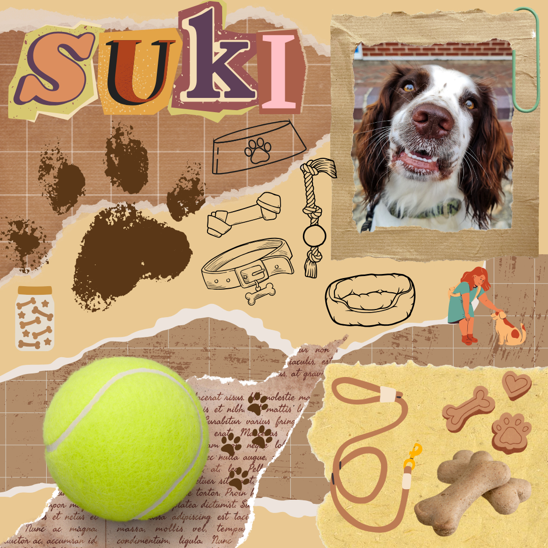 Suki